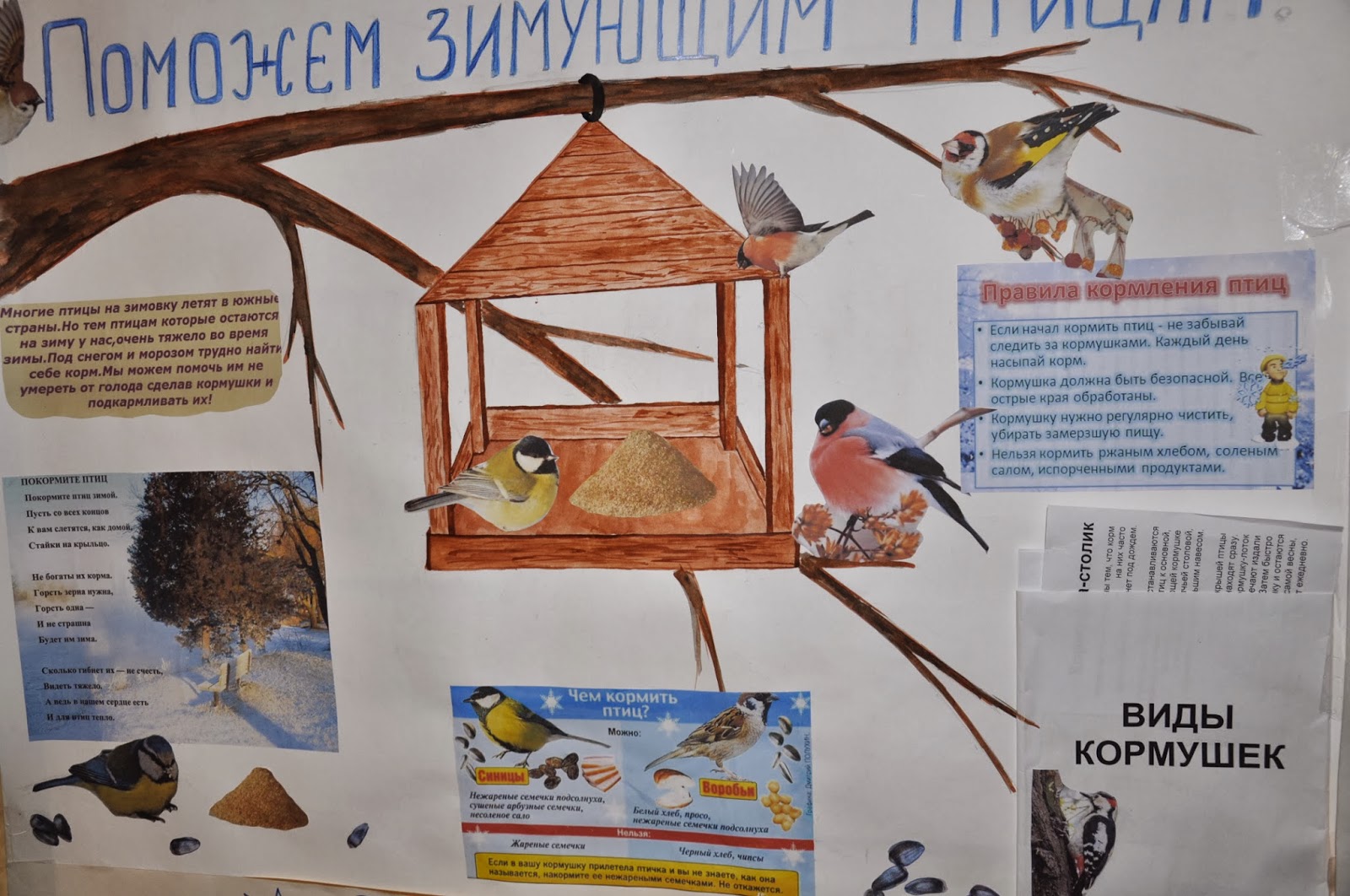 Плакат кормушка для птиц